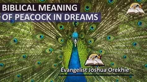 Understanding the Symbolism of a Majestic Cock in the Interpretation of Dreams