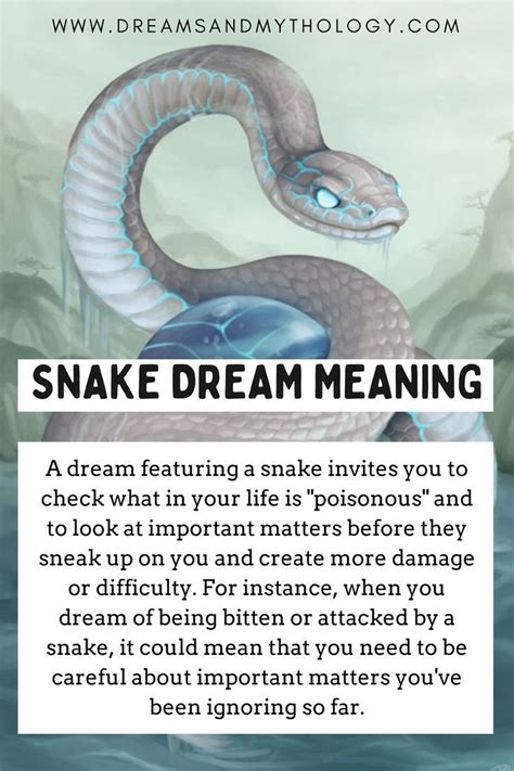 Understanding the Symbolism of a Serpent in Dreams