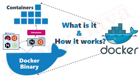 Understanding the concept of Docker and its importance in the Linux ecosystem