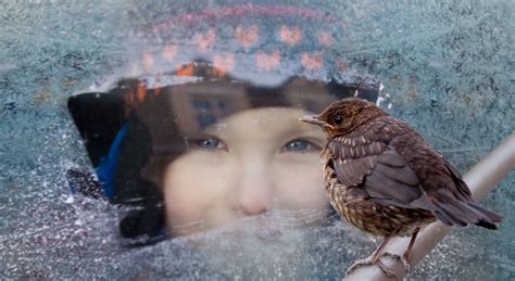 Unexpected Wisdom: Valuable Life Lessons from an Unanticipated Feathered Visitor