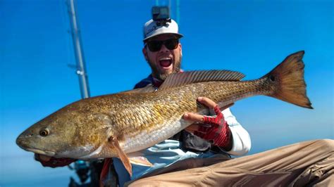 Unforgettable Laughter: The Hilarious Live Fish Encounter