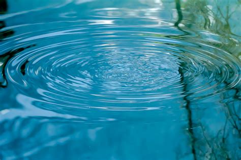 Unleash Your Imagination: The Beauty of Aquatic Ripples