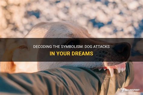 Unleashing Hidden Fears: Decoding the Symbolism of a Dog Attack