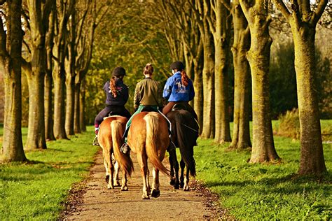 Unleashing Your Imagination: The Magic of Horseback Riding