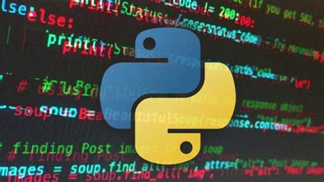 Unleashing the Incredible Potential of the Python Programming Language