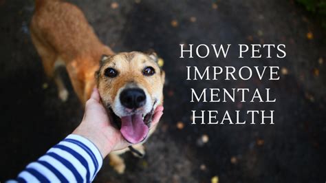 Unleashing the Power of Dreams: How They Benefit a Wiener Dog's Mental Health