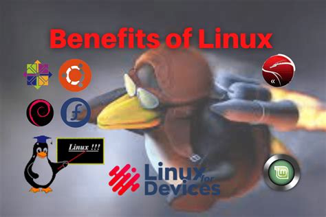 Unlocking the Advantages of Linux in Streamlining a Quality Control Framework