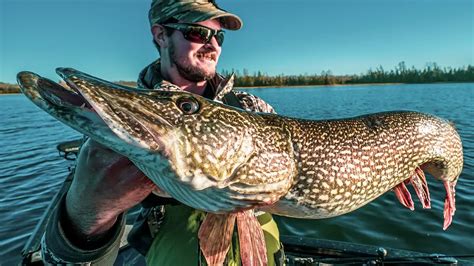 Unlocking the Enigmatic World of Pike Fishing