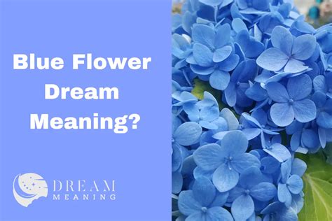 Unlocking the Hidden Messages Behind Floral Dream Visits