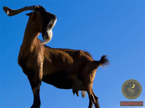 Unlocking the Mysteries: Decoding the Symbolic Meaning of Goats in Dreams