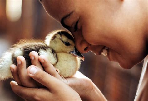 Unlocking the Potential of Animal Contact: How it Nurtures Empathy and Compassion