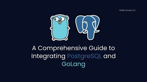 Unlocking the Potential of Golang for Efficient and Secure iOS App Development