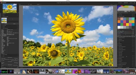 Unlocking the Potential of RAW Image Editing with Darktable