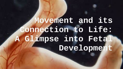 Unlocking the Secrets of Fetal Motion: A Glimpse into the Enigma of Baby's Womb-Dwelling Dance