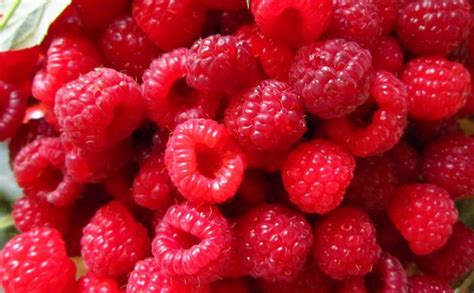 Unlocking the Significance of a Crimson Raspberry in the Realm of Dream Language