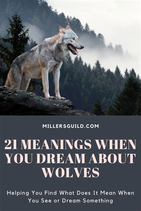 Unmasking the Mysterious World of Wolves’ Dreams