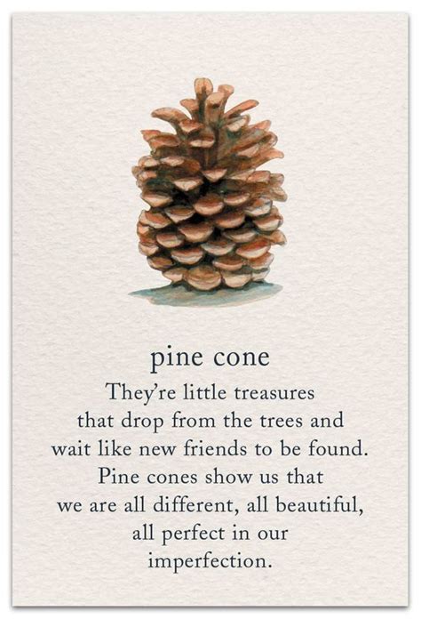 Unpacking the Potential Meanings and Messages of Pine Cone Collection