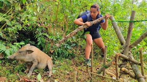 Unraveling the Connection between Boar Fantasies and Survival Instincts