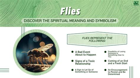 Unraveling the Dark Symbolism: Flies as Representations of Negativity and Decay