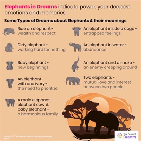 Unraveling the Hidden Messages in Elephant Dream Symbols