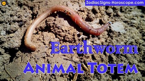 Unraveling the Intricate Symbolic Significance of Earthworms