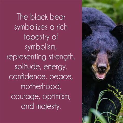 Unraveling the Mysteries: Understanding the Symbolic Meaning Behind the Presence of a Bear in a Gentleman's Reverie