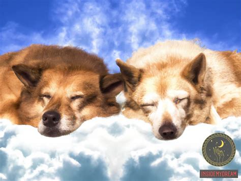 Unraveling the Significance of Dreaming about Two Dogs