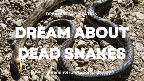 Unraveling the Significance of Snake Dreams