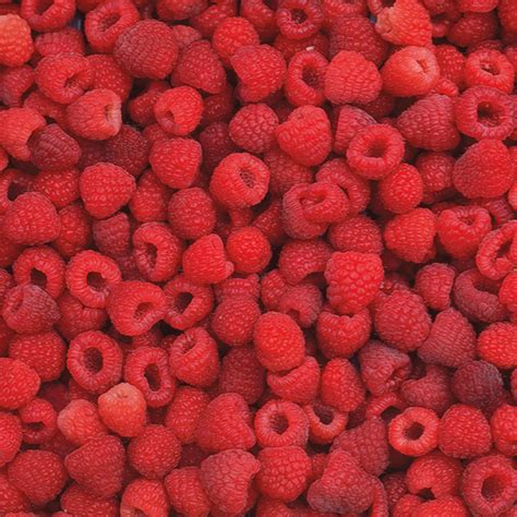 Unraveling the Significance of a Scarlet Raspberry in the Realm of Dreams