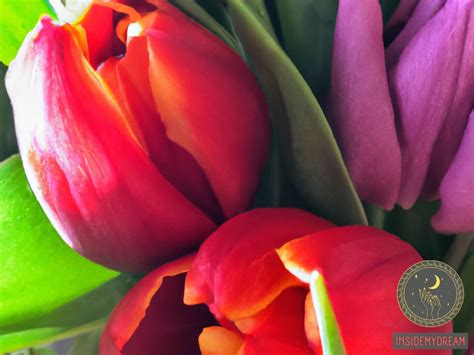 Unraveling the Subliminal Connections of Tulips in Dreams