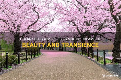 Unraveling the Symbolic Significance of Dreaming about a Cherry Tree