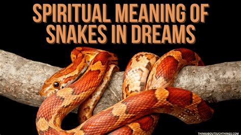 Unraveling the Symbolic Significance of Serpents in the Realm of Dreams