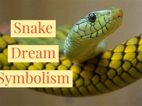 Unraveling the Symbolism: Exploring the Meaning Behind Serpents in Dreams