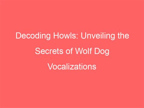 Unveiling Emotional States: Decoding the Emotion Behind Canine Vocalizations during Slumber