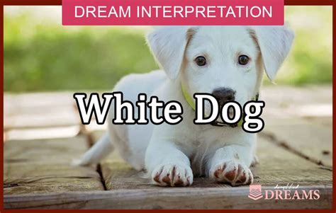 Unveiling Hidden Emotions: Exploring the Psychological Significance of White Dogs in Dream Interpretation