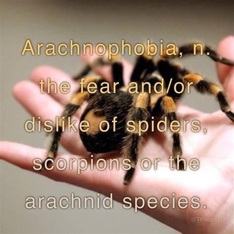 Unveiling Hidden Fears: Exploring the Arachnid as a Representation of Phobias