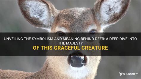 Unveiling the Deeper Meaning: Exploring the Symbolism of the Majestic Creature