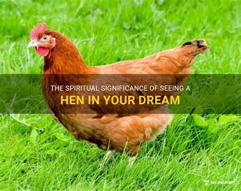 Unveiling the Emotional and Spiritual Significance of Chicks within Dreamscapes