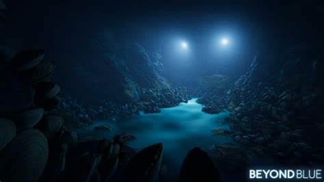 Unveiling the Enigmas of the Abyssal Zone