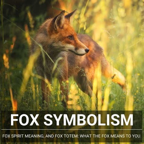 Unveiling the Enigmatic Imagination of Foxes