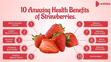 Unveiling the Health Benefits of Strawberries for Women's Restful Sleep