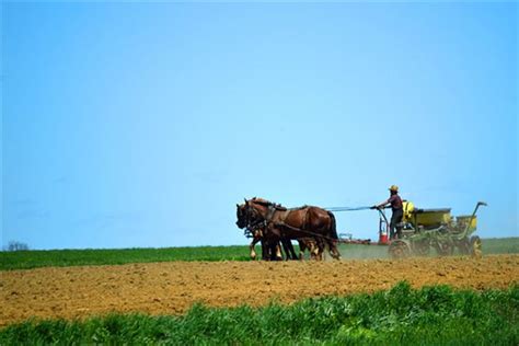 Unveiling the Hidden Meanings Behind Dreams Involving Plowing a Field