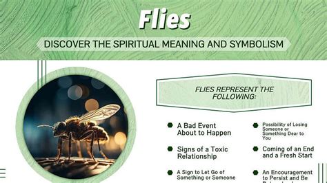 Unveiling the Hidden Messages: Fly Symbolism in Dream Analysis