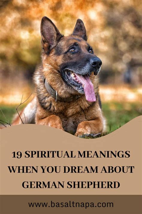 Unveiling the Hidden Messages in Dreams of a Majestic, Tender German Shepherd