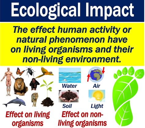 Unveiling the Impact: Ecological Ramifications