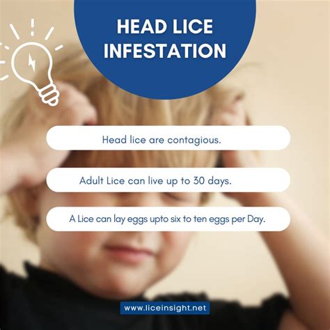 Unveiling the Indicators of Lice Infestation in Youngsters