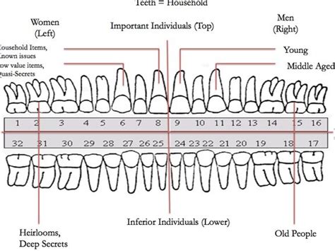 Unveiling the Interpretation of Losing a Wisdom Tooth in Dreams