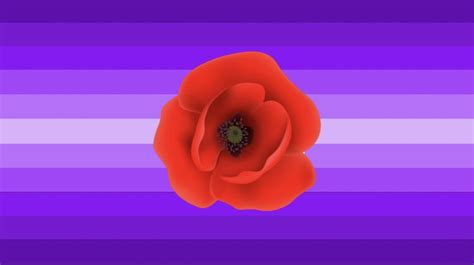 Unveiling the Link between Poppy Dreams and Masculine Identity