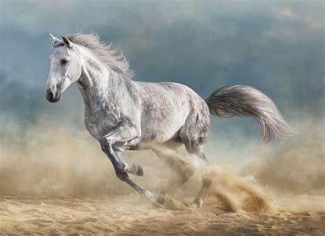 Unveiling the Meaning: Exploring the Symbolism Behind a Young Horse Dream