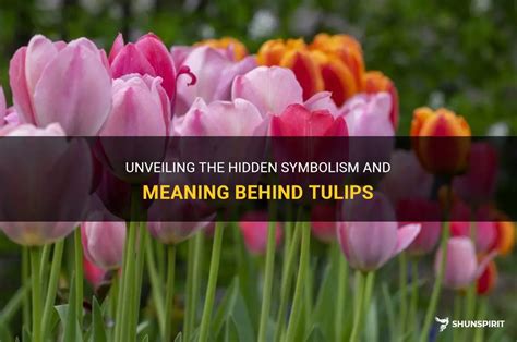 Unveiling the Meanings Hidden within Tulip Dreams: Insights into Your Inner Being